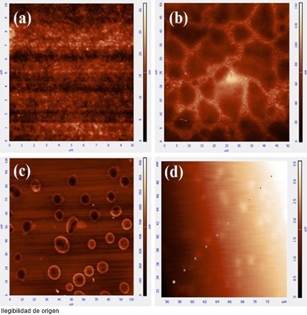 Im&aacute;genes 2D obtenidas mediante AFM de pel&iacute;culas de QS y QS/nCu. (a) QS seco. (b) QS hidratado. (c) bacteria S. aureus depositada en superficie de QS y (d) QS/nCu 5.3% p/v.