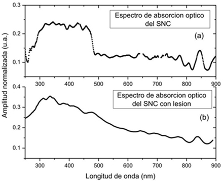 Espectros de absorción ópticos, obtenidos por EFA, del SNC de H. officinalis. a) Sin lesión, b) con lesión.