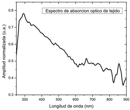 Espectro de absorción óptico, obtenidos por EFA, de tejido de H. officinalis.