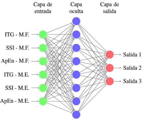 Estructura seleccionada para la RNA, donde M.F. es m&uacute;sculo flexor y M.E. es m&uacute;sculo extensor.