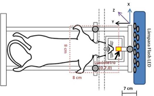 Distribuci&oacute;n del espacio coordenado para evaluaci&oacute;n de la
								intensidad promedio de la l&aacute;mpara LED para su uso en un modelo en
									rata. Se muestra la coordenada inicial en la que se
								coloc&oacute; el lux&oacute;metro (0,7,0) a partir de la cual se hicieron
								desplazamientos de 2 cm.