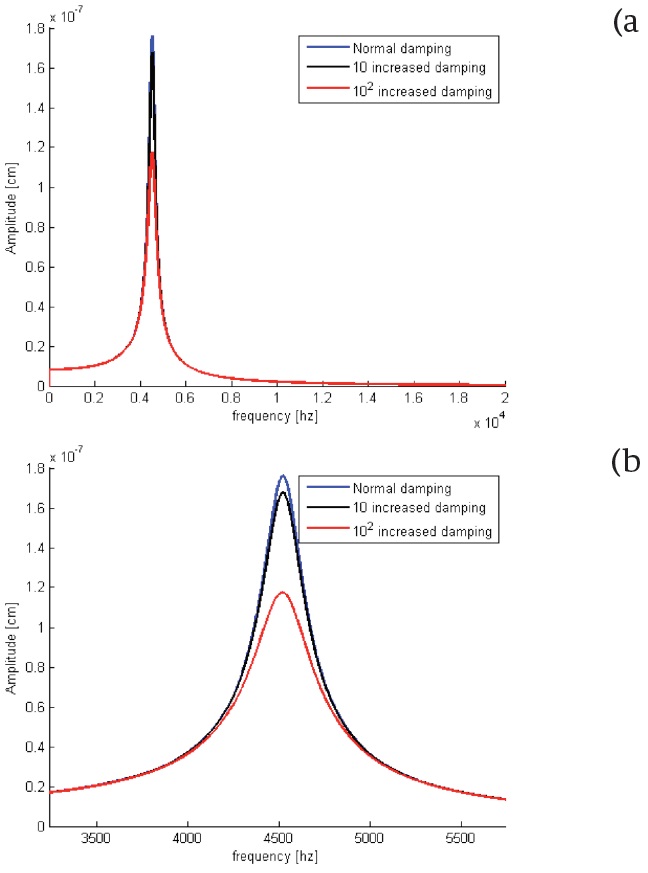 (a) The changes observed in basilar membrane amplitude after an increase in the value of stiffness, (b) Zooming of (a).