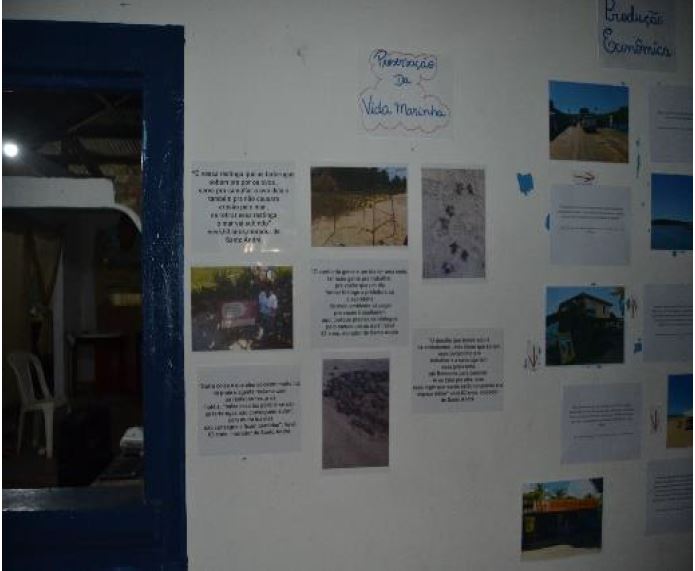 Imagem 2 - Composi&ccedil;&atilde;o final dos arranjos expositivos