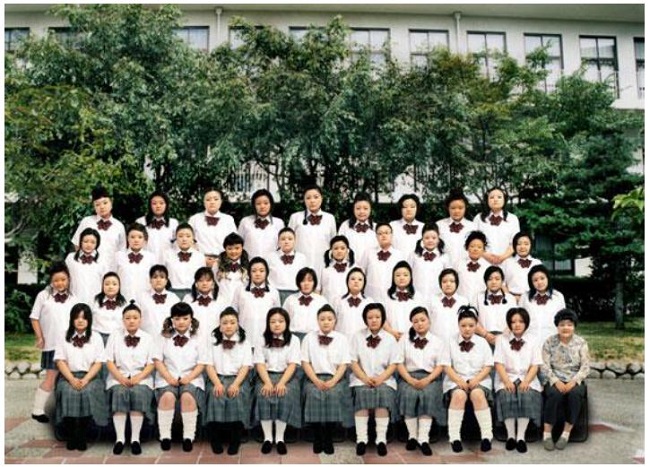 Cita&ccedil;&atilde;o visual literal