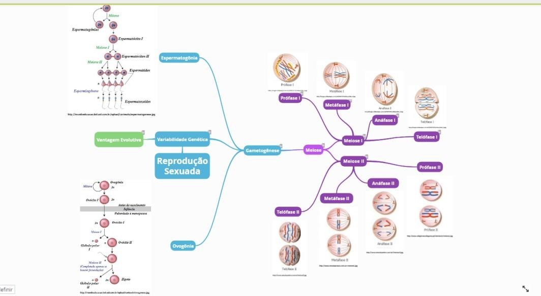 Representation of a mind map.