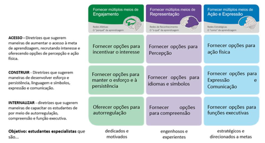 Princ�pio e diretrizes do DUA
