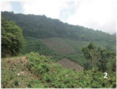 2. Parcelas en ladera, arriba el BMM