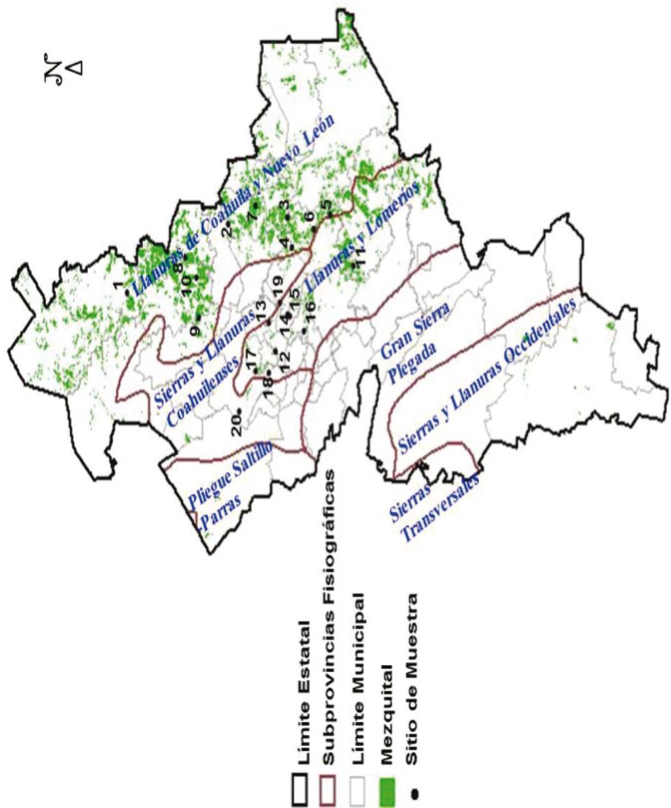 Fig. 2.  Distribuci&oacute;n de los mezquitales y localizaci&oacute;n de los sitios de muestra.