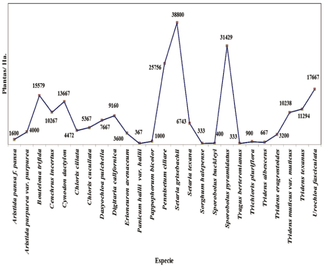 Fig. 7.  Densidad promedio de individuos por especie presentes entre los sitios. 