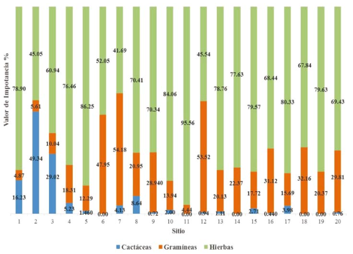 Fig. 8.  Valor de importancia de las gram&iacute;neas por sitio en el estrato inferior del mezquital