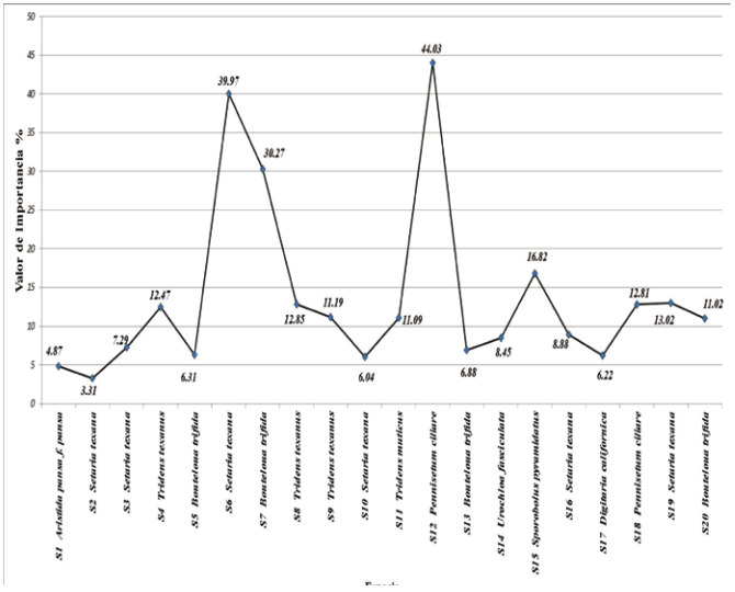 Fig. 9.  Gram&iacute;neas dominantes por sitio y su valor de importancia. 