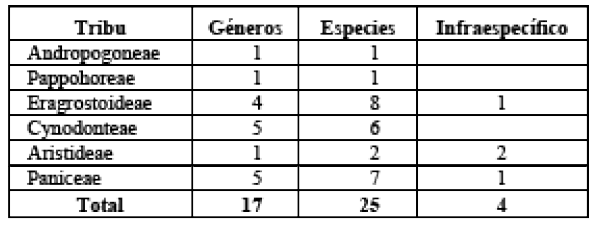 Cuadro 2.  Agrupaci&oacute;n taxon&oacute;mica de las garam&iacute;neas encontradas. 