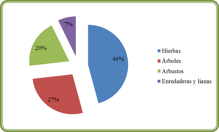 Fig. 4. H&aacute;bito de las especies colectadas.