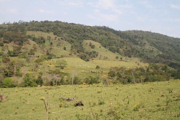 Fig. 9. En los sitios con mayor incidencia de luz se puede observar el uso de 
			la tierra para ganado y cultivos.