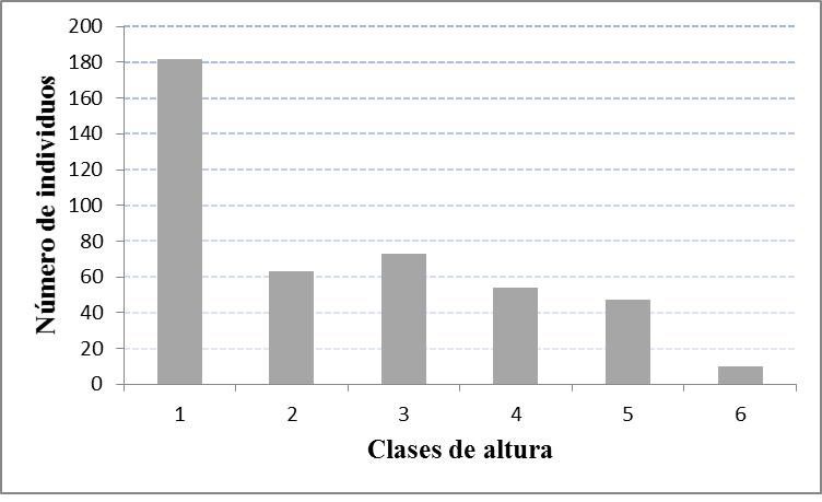 Fig. 3. Distribuci&oacute;n de las clases de altura de los individuos de la selva mediana subperennifolia en la localidad de Bethania, Campeche, M&eacute;xico. Clases de altura: 1 = 2-4.9 m; 2 = 5-7.9 m; 3 = 8-10.9 m; 4 = 11-13.9 m; 5 = 14-16.9 m; 6 = > 17 m. 