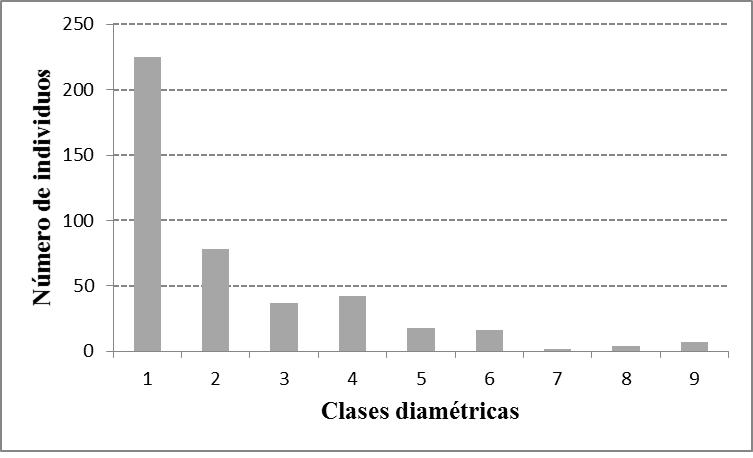 Fig. 4. Distribuci&oacute;n de las clases diam&eacute;tricas de los individuos con DAP &ge; 2.0 cm 
			de la selva mediana subperennifolia en la localidad de Bethania, Campeche, M&eacute;xico. 
			Clases de di&aacute;metros: 1 = 2-6.9 cm; 2 = 7-11.9 cm; 3 = 12-16.9 cm; 4 = 17-21.9 cm; 
			5 = 22-26.9 cm; 6 = 27-31.9 cm; 7 = 32-36.9 cm; 8 = 37-41.9 cm; 9 = > 42 cm. 
