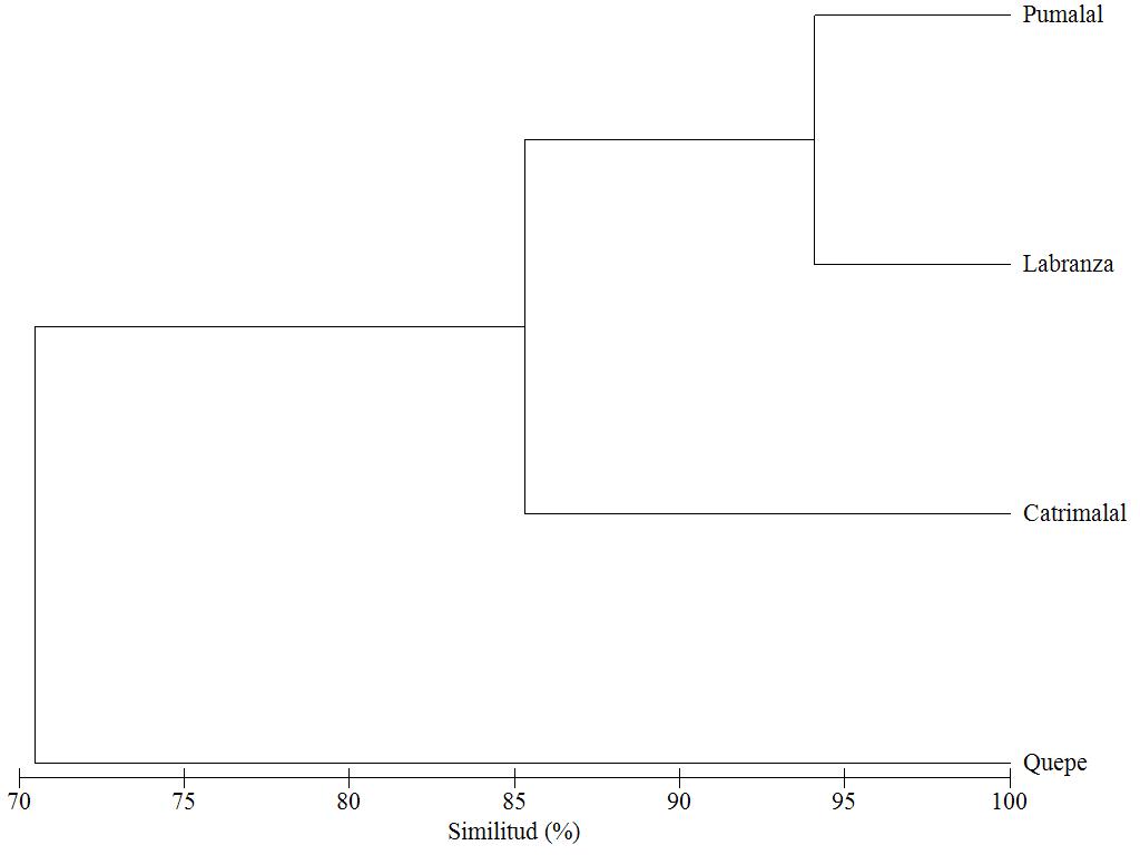 Fig. 6. Dendrograma de similitud de las localidades estudiadas.
		
		
			