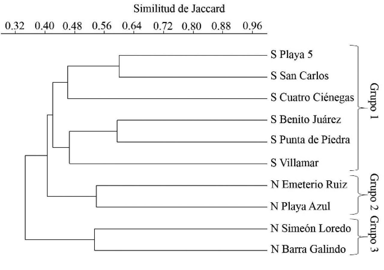 Fig.  4. Similitud de la composici&oacute;n flor&iacute;stica de las dunas costeras de Tuxpan.