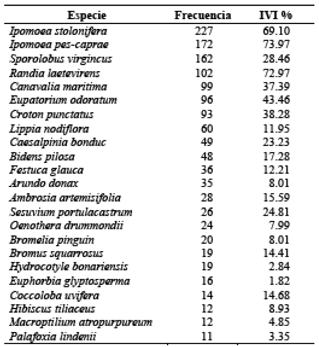 Cuadro 2. Especies m&aacute;s frecuentes en el sistema dunar de Tuxpan.   