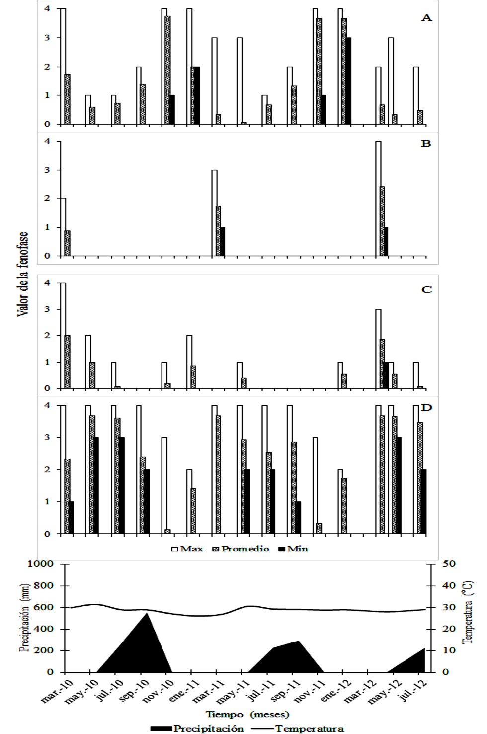 Fig. 2. Dendrofenograma de Enterolobium cyclocarpum. 
			Eventos fenológicos: A. caída de hojas. B. floración. C. fructificación. D. brote de hojas.
