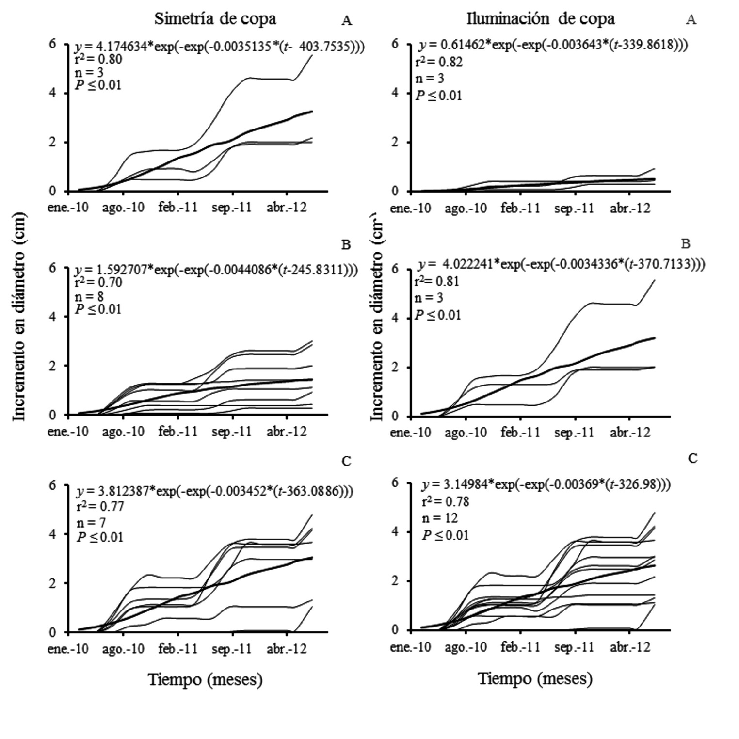 Fig. 6. Crecimiento en diámetro para simetrías: (A) asimétrica, (B) parcialmente simétrica, (C) simétrica e iluminaciones de copa (A) poco iluminada, (B) parcialmente iluminada, 
			(C) totalmente iluminada de Enterolobium cyclocarpum