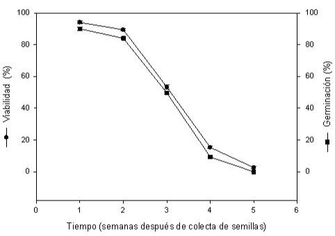 Fig. 2. Porcentaje de germinaci&oacute;n in vitro de embriones aislados de C. ghiesbreghtiana (■) porcentaje de viabilidad (●). Cada punto representa la media &plusmn; desviaci&oacute;n 
			est&aacute;ndar de 30 semillas con tres repeticiones.