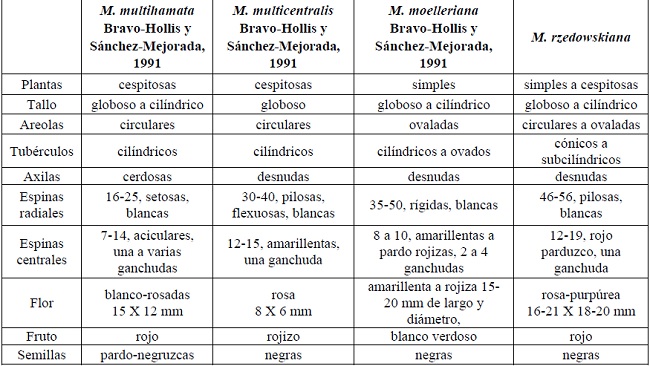 Diferencias morfológicas entre Mamillaria multihamata, M. multicentralis, M. moelleriana y Mammillaria rzedowskiana.
