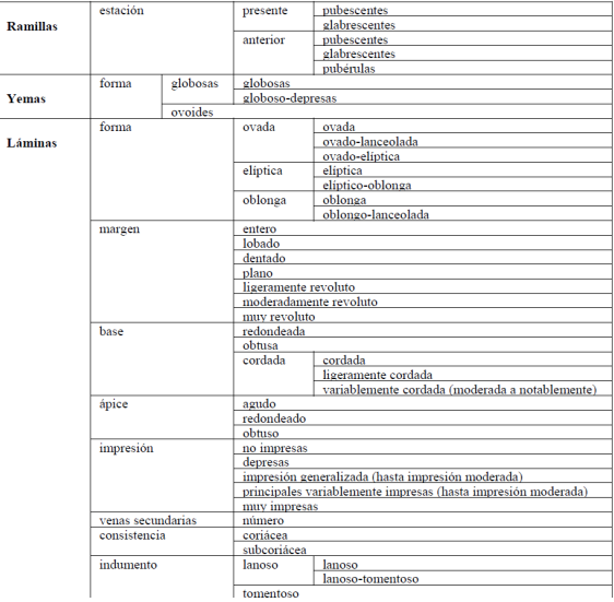 Caracteres analizados.