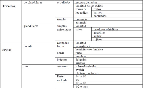 Caracteres analizados.
