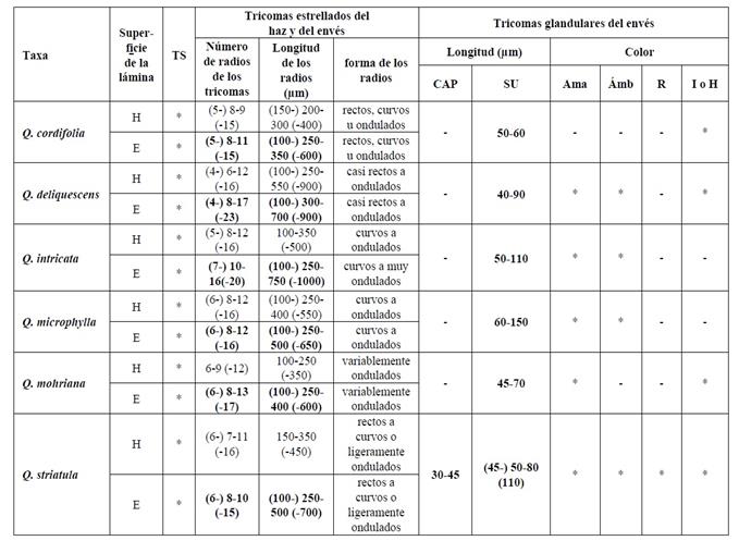 Caracteres de los tricomas del haz (H) y del env&eacute;s (E) de las hojas. Tricomas simples (TS). Tricomas glandulares capitados (CAP) y tricomas glandulares simples uniseriados (SU) [color amarillo (Ama), &aacute;mbar (&Aacute;mb), rojizos (R) e incoloros o hialinos (IoH)]. Presencia del car&aacute;cter (*) y ausencia del car&aacute;cter (-).