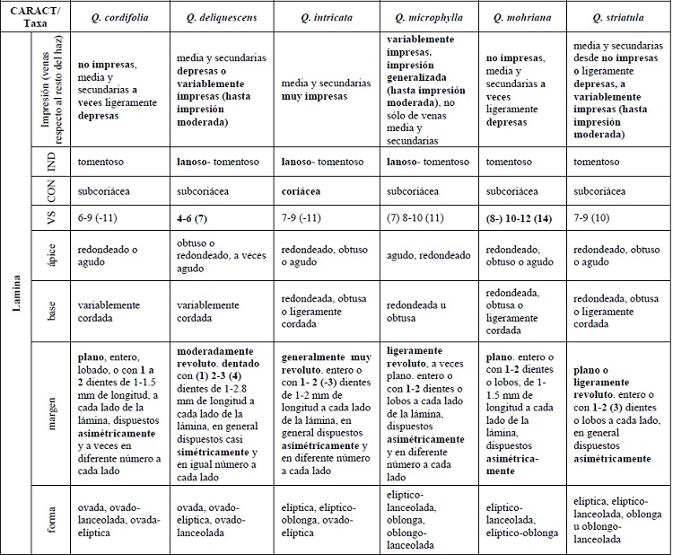 Caracteres (CARACT) de yemas, ramillas y hojas. Indumento (IND), consistencia (CON), venas secundarias (VS) y procedencia del material analizado (PM).