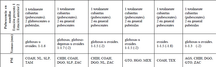 Caracteres (CARACT) de yemas, ramillas y hojas. Indumento (IND), consistencia (CON), venas secundarias (VS) y procedencia del material analizado (PM).