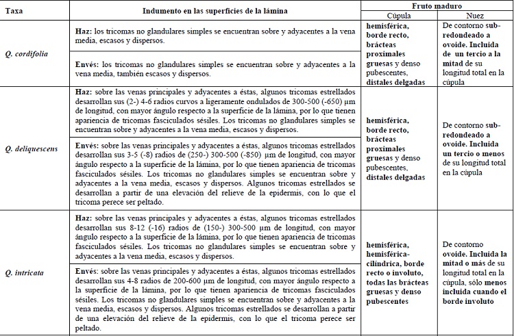 Informaci&oacute;n adicional del indumento en el haz (H) y en el env&eacute;s (E) de la l&aacute;mina, y del fruto maduro.