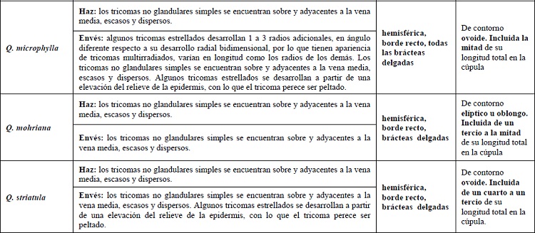 Informaci&oacute;n adicional del indumento en el haz (H) y en el env&eacute;s (E) de la l&aacute;mina, y del fruto maduro.