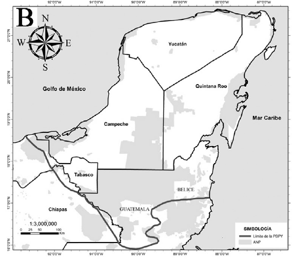 Colecciones, áreas naturales protegidas y lugares de especial atención en la PBPY, México. A. Distribución de los registros de herbario de la flora endémica (línea azul, límite de la PBPY). B Áreas naturales protegidas. C. Lugares de especial atención en la PBPY por su baja densidad de colección botánica y/o especial interés biológico. 1) Candelaria (SO de Campeche; 2) Tuxpeña (SO de Campeche; 3) Laguna de Términos (SO de Campeche); 4) Calichal al norte de la ciudad de Mérida y extendiéndose en una estrecha franja hasta el NE de Yucatán (N Yucatán); 5) Sabana del Jaguactal (SO Quintana Roo); 6) Punta Herrero, Mahahual-Xlacak (SO de Quintana Roo); 7) Punto Put (límites entre los estados de la PY). (Elaborado con ESRI, 2010) 