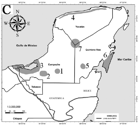 Colecciones, áreas naturales protegidas y lugares de especial atención en la PBPY, México. A. Distribución de los registros de herbario de la flora endémica (línea azul, límite de la PBPY). B Áreas naturales protegidas. C. Lugares de especial atención en la PBPY por su baja densidad de colección botánica y/o especial interés biológico. 1) Candelaria (SO de Campeche; 2) Tuxpeña (SO de Campeche; 3) Laguna de Términos (SO de Campeche); 4) Calichal al norte de la ciudad de Mérida y extendiéndose en una estrecha franja hasta el NE de Yucatán (N Yucatán); 5) Sabana del Jaguactal (SO Quintana Roo); 6) Punta Herrero, Mahahual-Xlacak (SO de Quintana Roo); 7) Punto Put (límites entre los estados de la PY). (Elaborado con ESRI, 2010) 