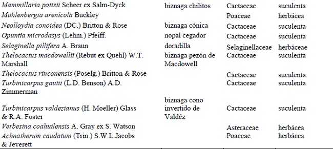 Conclusi&oacute;n (Cont.)