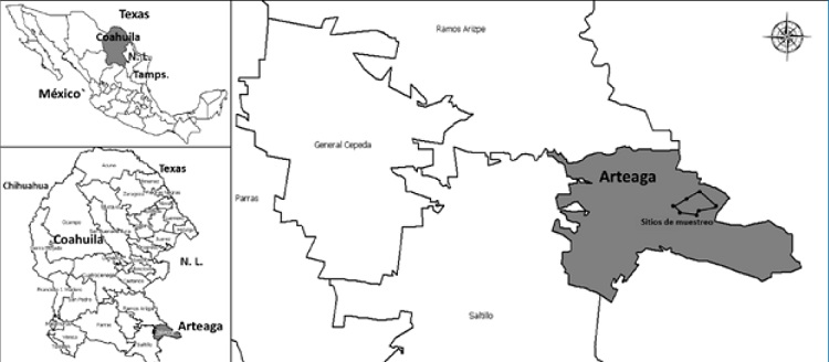 Ubicaci&oacute;n del &aacute;rea de estudio. La imagen superior izquierda muestra el noreste de M&eacute;xico y sureste de Estados Unidos de Am&eacute;rica, la inferior izquierda el estado de Coahuila, donde se aprecia lalocalizaci&oacute;n de Ciudad de Arteaga en la parte inferior, y la imagen de la derecha muestra la ubicaci&oacute;n espacial del pol&iacute;gono donde se establecieron los sitios de muestreo.