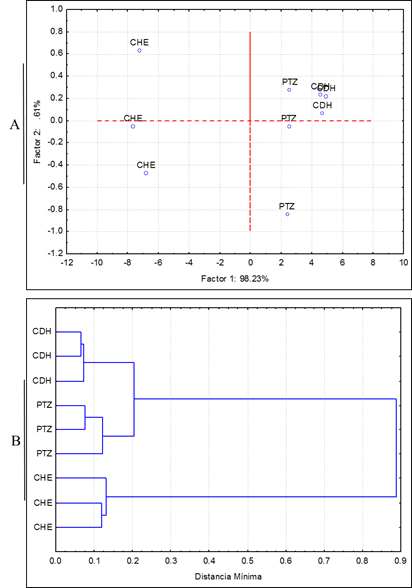 El an&aacute;lisis de componentes principales (ACP) realizado a partir de las caracter&iacute;sticas fisicoqu&iacute;micas y nutrientes del suelo (A), y an&aacute;lisis cl&uacute;ster de agrupaci&oacute;n mediante el m&eacute;todo de distancias euclidianas, realizado a partir del perfil de uso de fuente de carbono por los microorganismos del suelo (B), an&aacute;lisis realizados con el programa &ldquo;Statsoft statistica v7&rdquo;.
