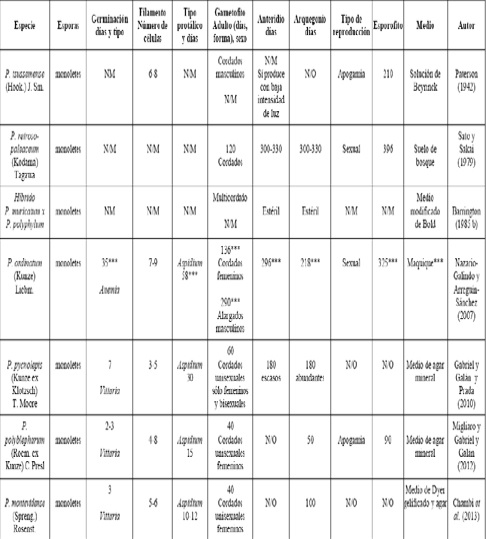 Trabajos relacionados con la biolog&iacute;a reproductiva de algunos taxones de Polystichum y los resultados de este trabajo.