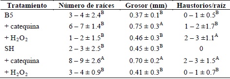Inducción de haustorios, número y grosor de raíces en plantas de C. tenuiflora aplicando catequina y H2O2 como CFHs.