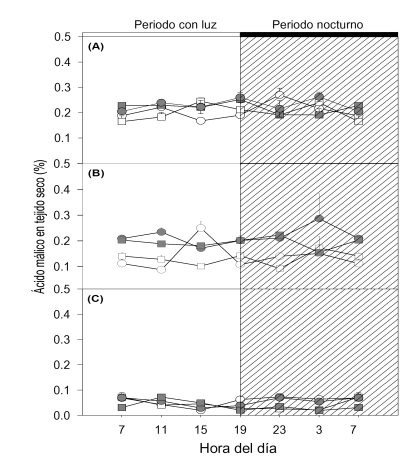 Acidez diurna y nocturna en clorénquima (cuadros) y parénquima (círculos) de plantas de 10 años de edad, en etapa vegetativa, de Ferocactus pilosus con riego (símbolos vacíos) y después de 3 (A), 6 (B) y 12 (C) meses sin riego (símbolos grises).