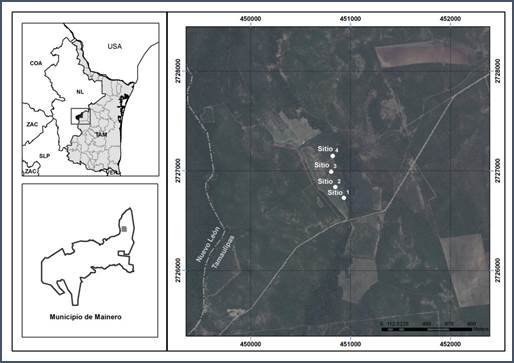 Ubicaci&oacute;n del &aacute;rea de estudio. En la imagen superior izquierda se aprecia el noreste de M&eacute;xico y sureste de Estados Unidos. En la inferior izquierda el municipio de Mainero, Tamaulipas. En la imagen derecha se aprecia la localizaci&oacute;n de los cuatro sitios de muestreo.