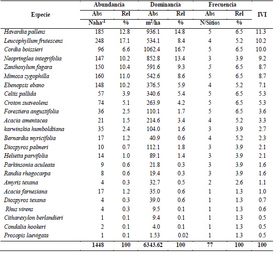 Abundancia, dominancia, frecuencia e &iacute;ndice de valor de importancia de las especies registradas.