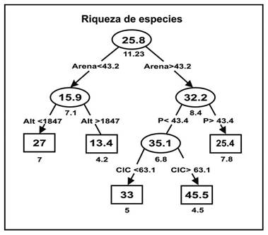 Árbol de regresión que muestra las variables que más se correlacionaron con la riqueza de especies. Los rectángulos representan los nodos terminales y los óvalos los nodos no terminales. Los números dentro de cada rectángulo representan el promedio de riqueza de especies de las parcelas de muestreo que fluyen por las ramas del árbol hacia un nodo terminal particular. Los valores que se encuentran en las conexiones entre nodos representan los criterios de decisión por medio de los cuales una determinada variable del medio provee las bases para la división. Los valores debajo de los cuadros y óvalos indican la desviación estándar. El significado de las abreviaciones es: Alt = altitud (m); P = fósforo; CIC: capacidad de intercambio catiónico.