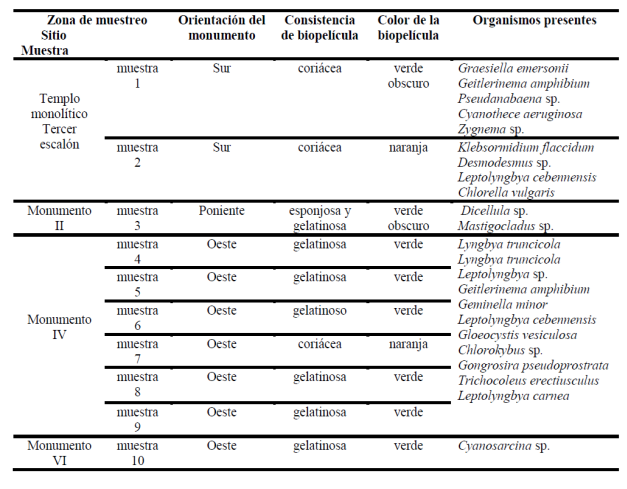 Orientación del monumento, consistencia de la biopelícula, color y organismos encontrados en las biopelículas.