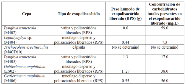 Tipo de exopolisacáridos observados mediante la tinción con azul de toluidina y concentración de carbohidratos totales.