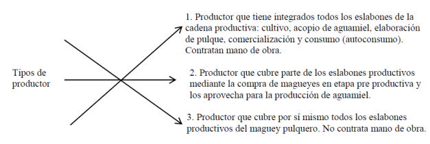 Tipificaci&oacute;n de los productores en la zona de estudio