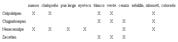 Tipos de maguey presentes en los municipios estudiados.