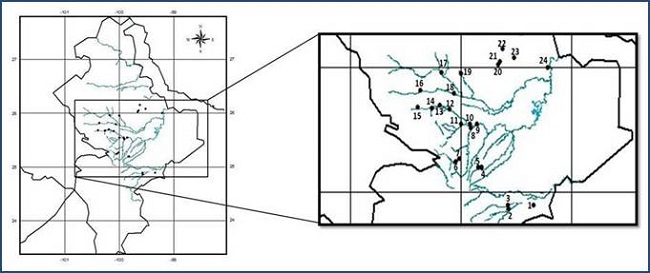 Mapa del estado de Nuevo Le&oacute;n; los puntos representan las estaciones de colecta de las algas reportadas en el listado taxon&oacute;mico y se enumeran de la siguiente manera:  Linares : 1 Arroyo indeterminado, 2 Ojo de agua indeterminado, 3 R&iacute;o Pablillo. 
 Montemorelos  : 4, 5, R&iacute;o Pil&oacute;n.  Allende : 6, 7, R&iacute;o Ramos. Cadereyta : 8 R&iacute;o Ramos, 9 R&iacute;o San Juan, 10 R&iacute;o Santa Catarina, 11 Arroyo castillo.  Ju&aacute;rez : 12 R&iacute;o Santa Catarina. Guadalupe : 13 R&iacute;o Santa Catarina, 14 R&iacute;o La silla. Monterrey : 15 R&iacute;o Santa Catarina. Escobedo : 16 R&iacute;o Pesquer&iacute;a. Doctor Gonz&aacute;lez : 17 R&iacute;o Salinas. Pesquer&iacute;a : 18 R&iacute;o pesquer&iacute;a. Higueras : 19 Arroyo apartadero. Cerralvo : 20 Arroyo indeterminado, 21 Arroyo Sardinas, 22 Estanque indeterminado. Melchor Ocampo : 23 Presa Melchor Ocampo. Los Aldamas : 24 Pantano indeterminado.